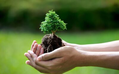 Klimaschutz: Abzug als Betriebsausgaben
