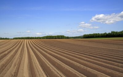 Erbschaftsteuer: Land- und Forstwirtschaft