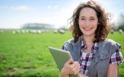 Land- und Forstwirtschaft: Durchschnittssätze