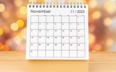 Steuertermine November 2025