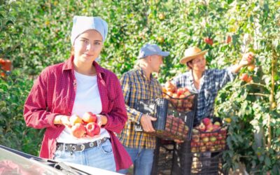 Kurzfristige Beschäftigung in der Landwirtschaft: Änderungen ab 2026