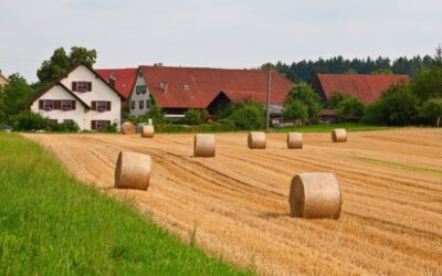 Hofübergabevertrag: Lebenslanges Altenteil ist keine Schenkung