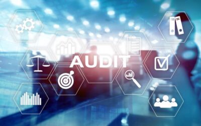 Außenprüfung: Rechte und Mitwirkungspflichten