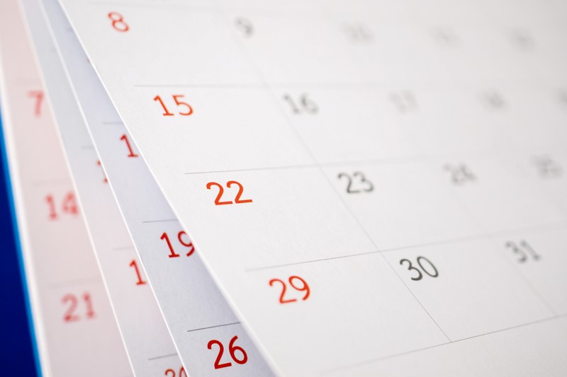 Steuertermine März 2026